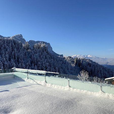 Wohnung Staufenblick Und Wohnung Firstblick ドルンビルン エクステリア 写真