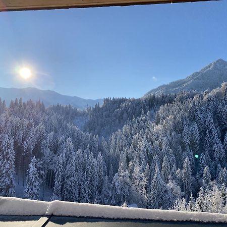 Wohnung Staufenblick Und Wohnung Firstblick ドルンビルン エクステリア 写真