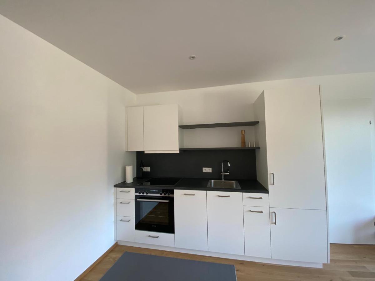 Wohnung Staufenblick Und Wohnung Firstblick ドルンビルン エクステリア 写真