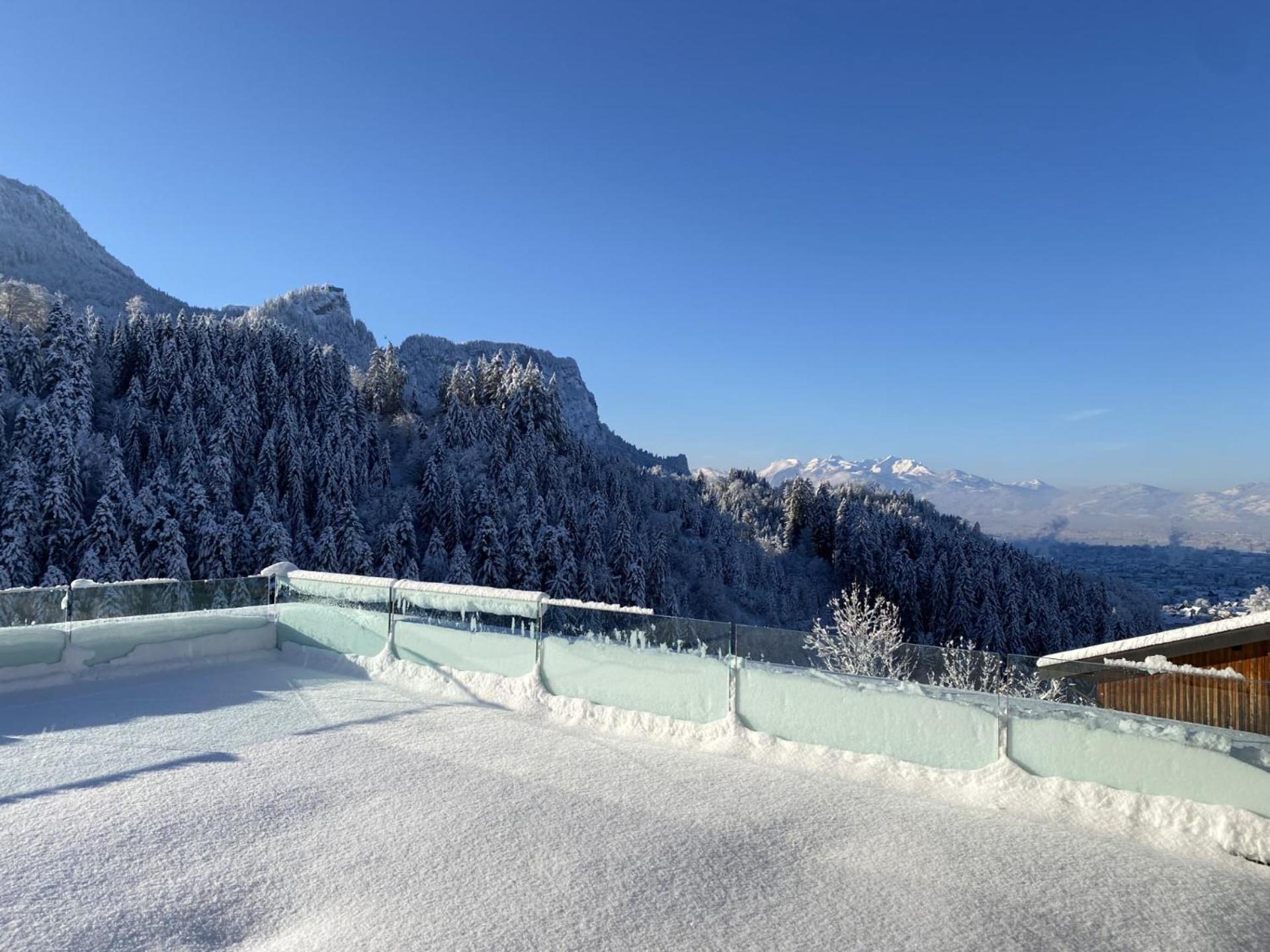 Wohnung Staufenblick Und Wohnung Firstblick ドルンビルン エクステリア 写真