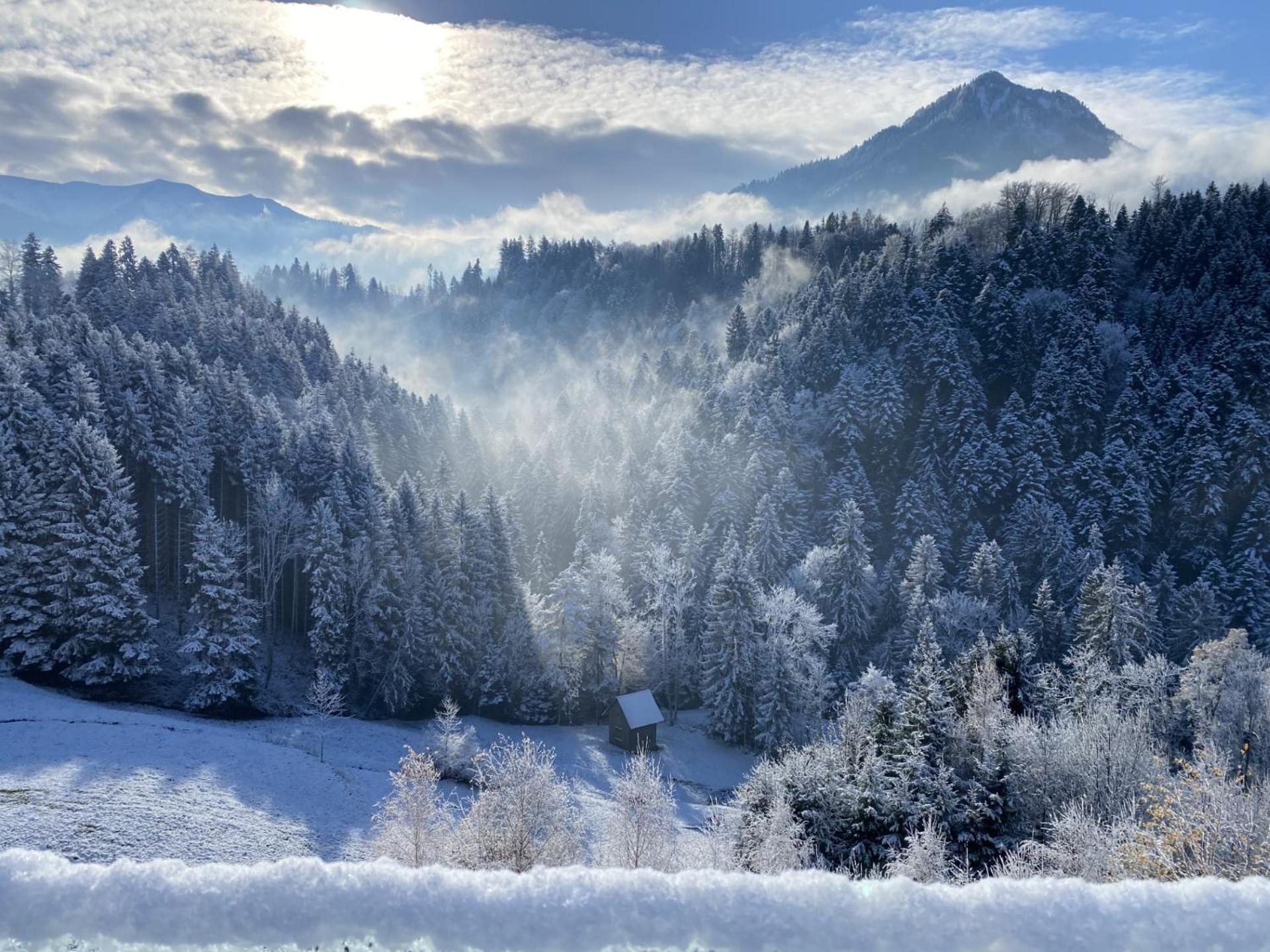 Wohnung Staufenblick Und Wohnung Firstblick ドルンビルン エクステリア 写真