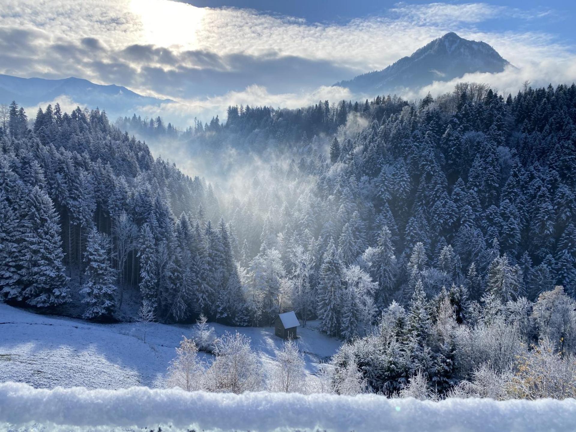 Wohnung Staufenblick Und Wohnung Firstblick ドルンビルン エクステリア 写真