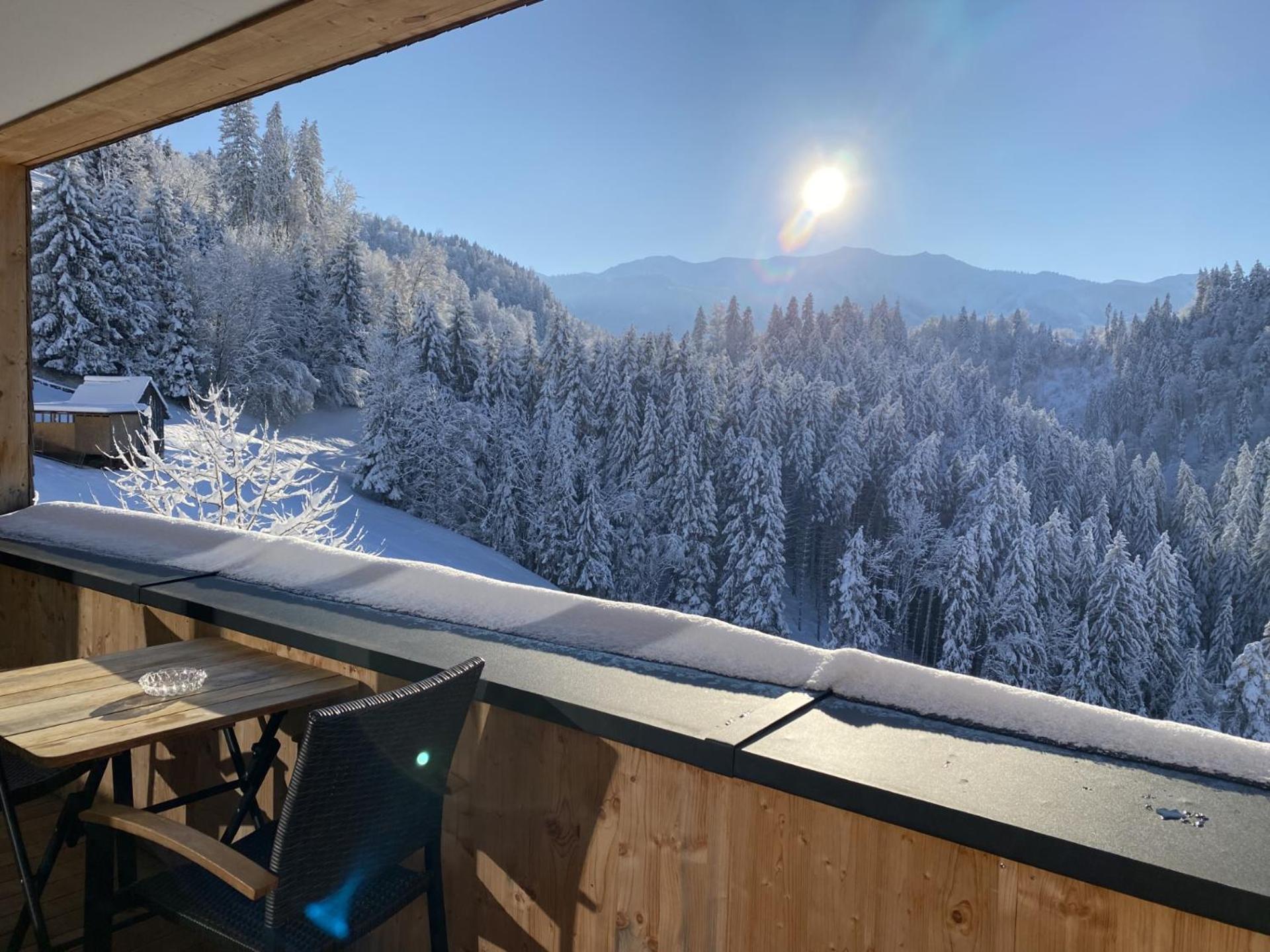 Wohnung Staufenblick Und Wohnung Firstblick ドルンビルン エクステリア 写真